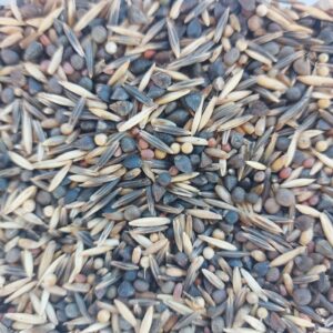 Mix solo vivo winter